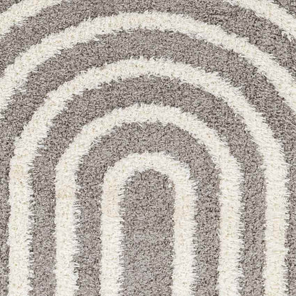 Long Island Modern Charcoal Area Rug