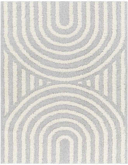 Long Island Modern Gray Area Rug