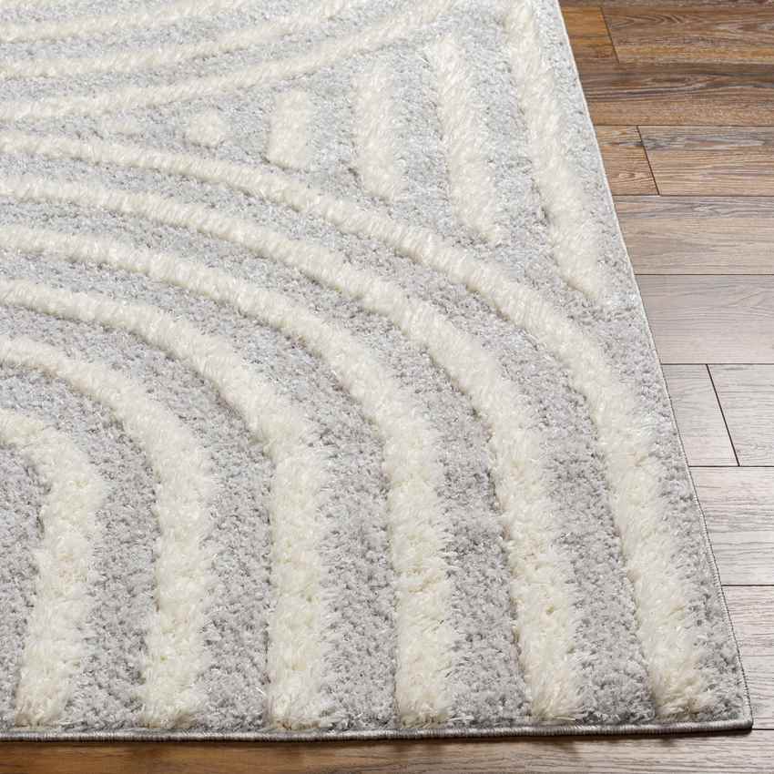 Long Island Modern Gray Area Rug