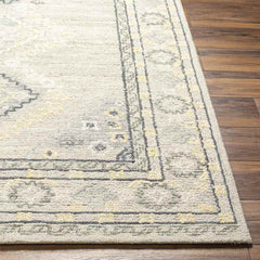 Conway Springs Traditional Khaki/Gray Area Rug