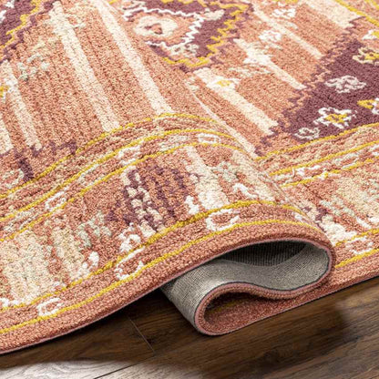 Conway Springs Traditional Coral Area Rug