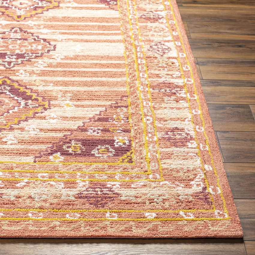 Conway Springs Traditional Coral Area Rug