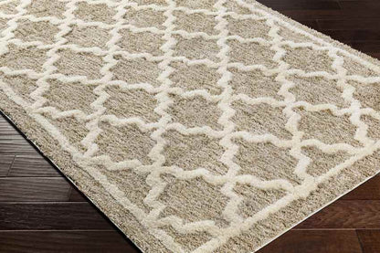 Clay Center Global Brown Area Rug