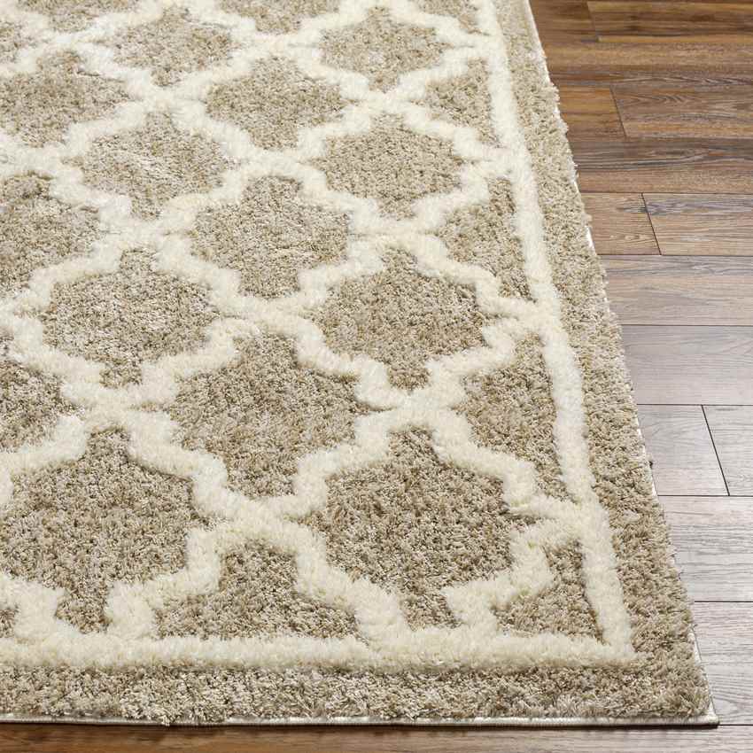 Clay Center Global Brown Area Rug