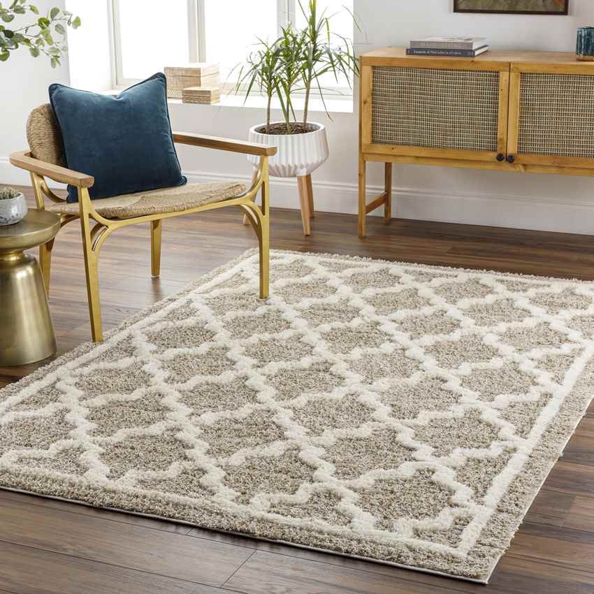 Clay Center Global Brown Area Rug