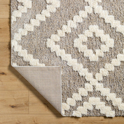 Honey Creek Global Ivory/Brown Area Rug
