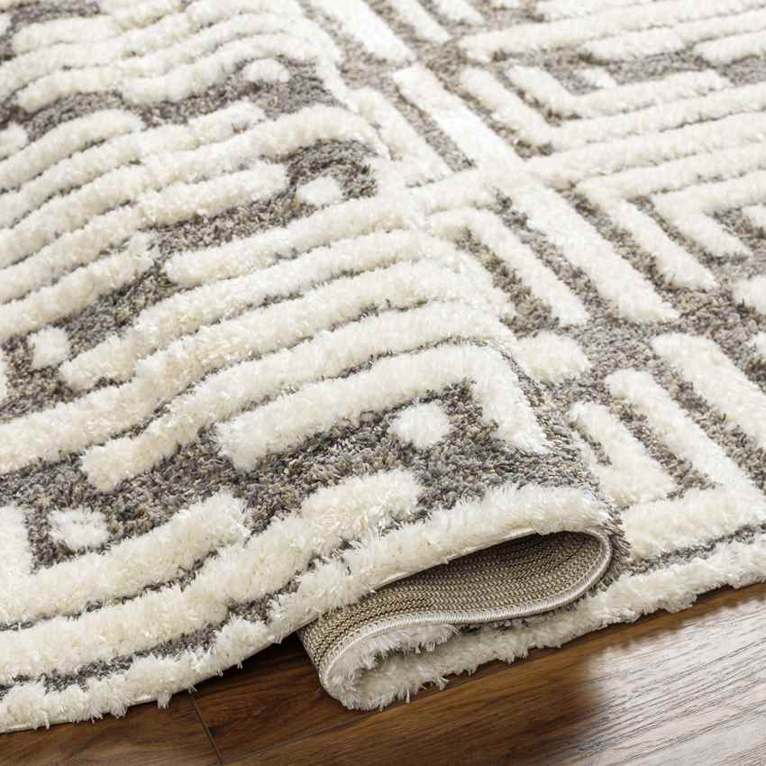 Hustonville Global Dark Taupe Area Rug