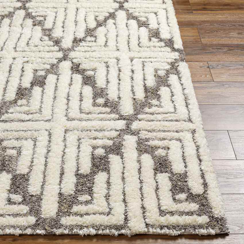 Hustonville Global Dark Taupe Area Rug