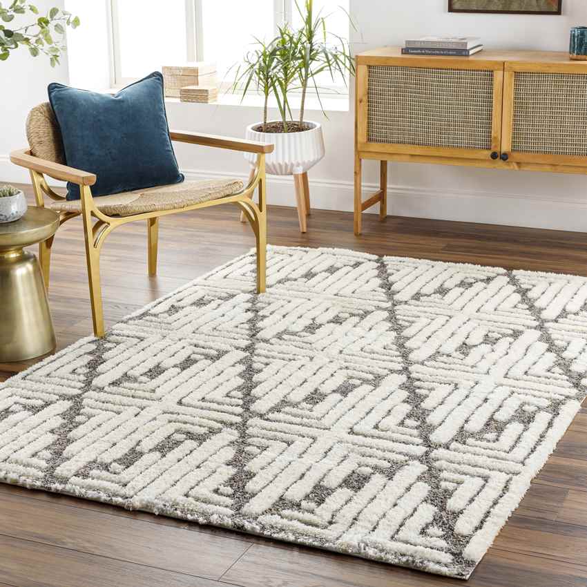 Hustonville Global Dark Taupe Area Rug