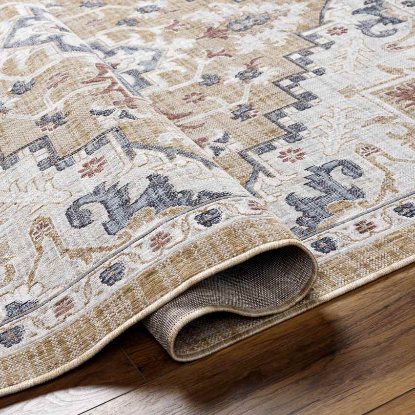 Morrowville Traditional Light Rust Area Rug