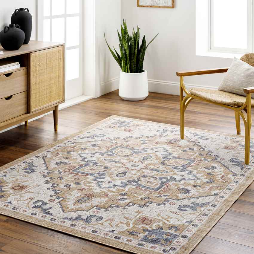 Morrowville Traditional Light Rust Area Rug