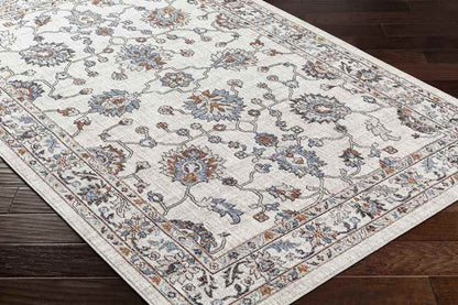Murray Hill Traditional Beige Area Rug