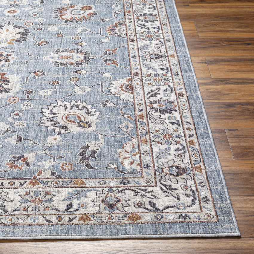 Murray Hill Traditional Denim Area Rug