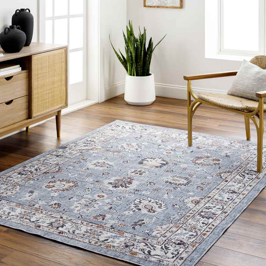 Murray Hill Traditional Denim Area Rug