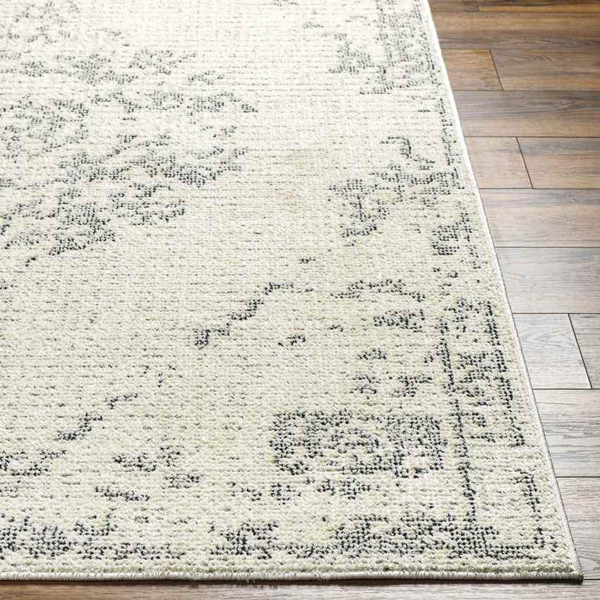 Heritage Creek Traditional Beige Area Rug