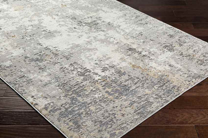 Rafeal Modern Gray Area Rug