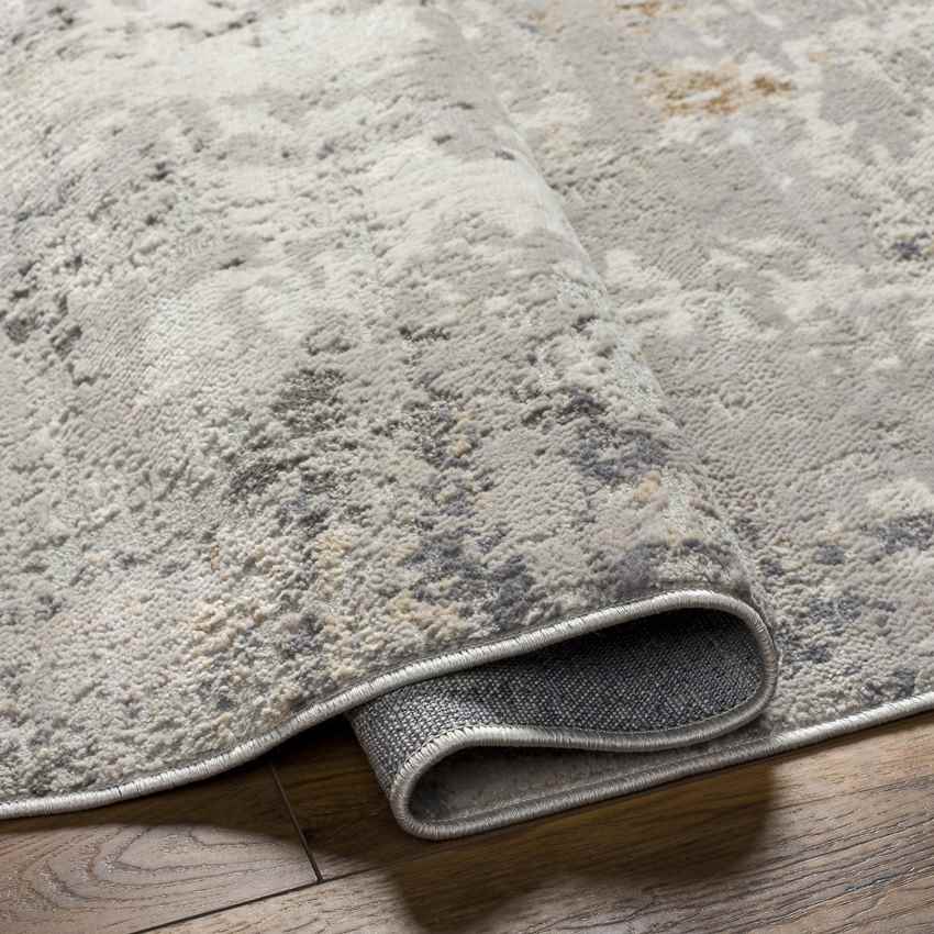 Rafeal Modern Gray Area Rug