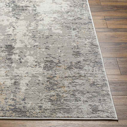 Rafeal Modern Gray Area Rug