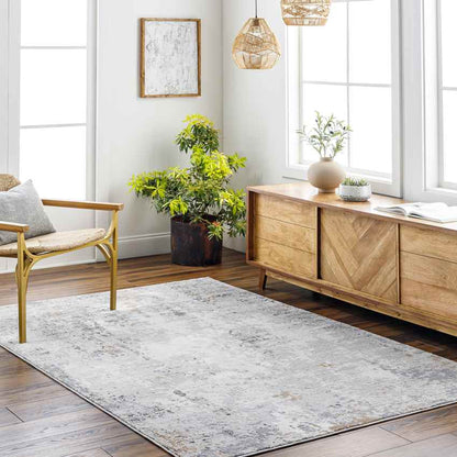 Rafeal Modern Gray Area Rug