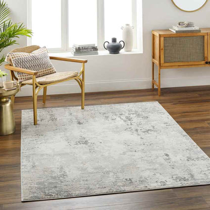 Rafeal Modern Gray Area Rug