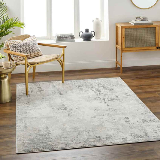 Rafeal Modern Gray Area Rug