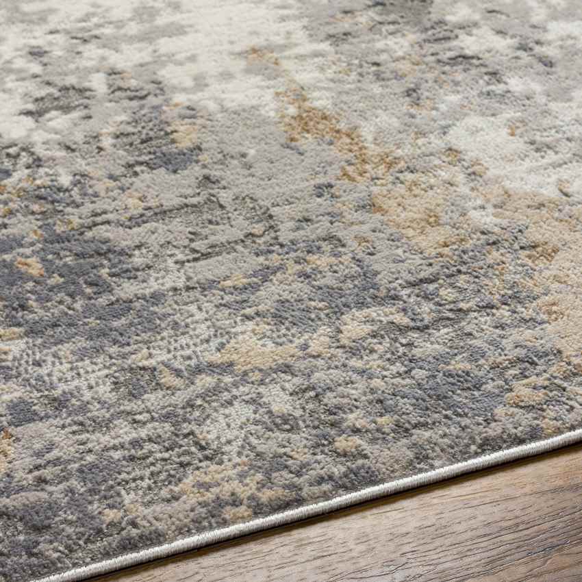 Rafeal Modern Gray Area Rug