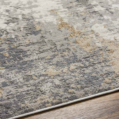 Rafeal Modern Gray Area Rug