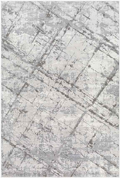 Brooklynn Modern Gray Area Rug