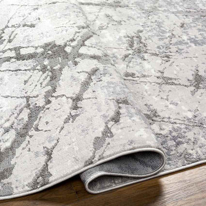 Brooklynn Modern Gray Area Rug