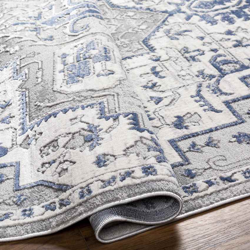 Katey Traditional Gray Area Rug