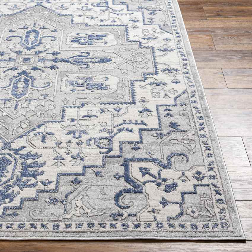 Katey Traditional Gray Area Rug