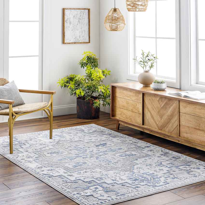 Katey Traditional Gray Area Rug