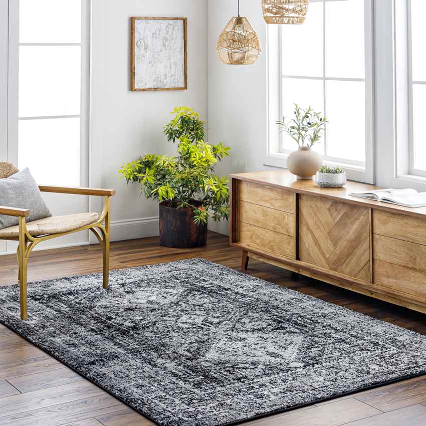 Jules Traditional Black Area Rug