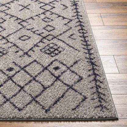 Deeanna Global Light Gray/Black Washable Area Rug