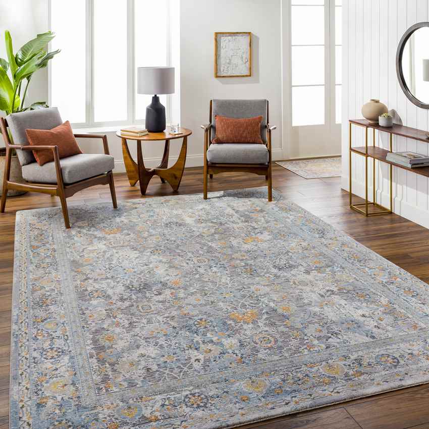 Emili Traditional Light Gray Area Rug