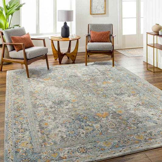 Emili Traditional Light Gray Area Rug