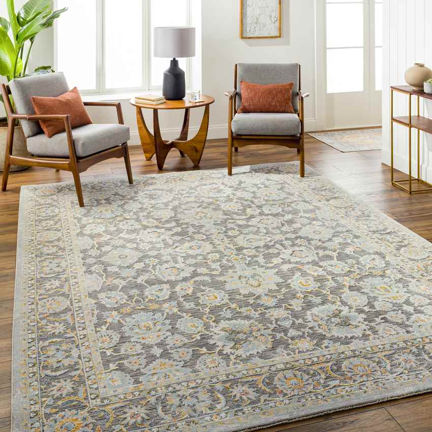 Mekia Traditional Medium Gray Area Rug