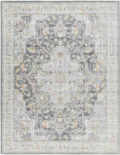 Jessica Traditional Charcoal/Gray Area Rug