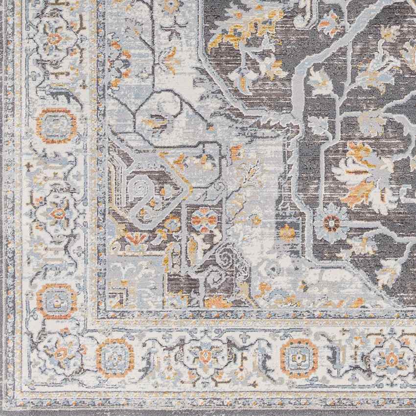 Jessica Traditional Charcoal/Gray Area Rug