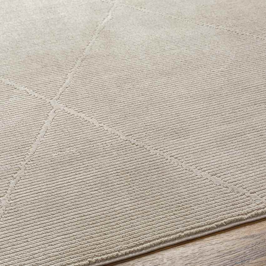 Pietro Global Taupe Washable Area Rug