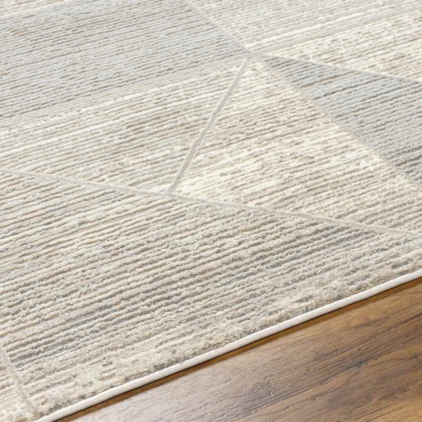 Jaslynn Modern Dark Brown Washable Area Rug