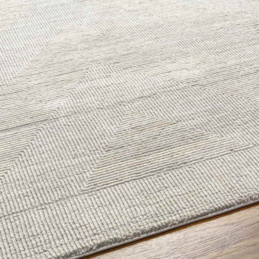 Rigoberto Modern Mocha Washable Area Rug