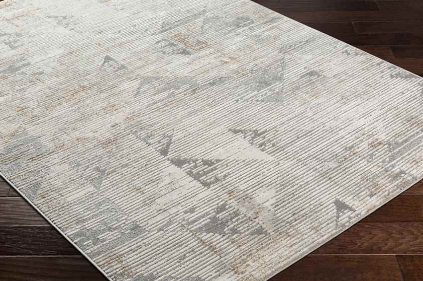Tasheka Modern Medium Gray Area Rug