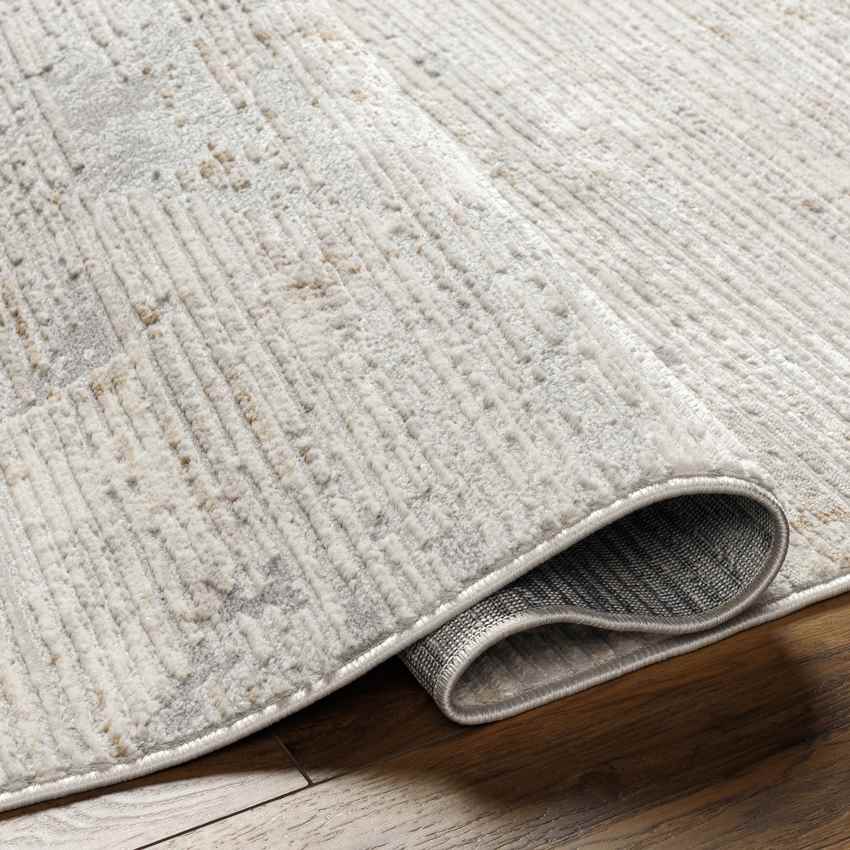 Tasheka Modern Medium Gray Area Rug