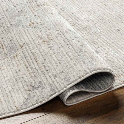 Tasheka Modern Medium Gray Area Rug