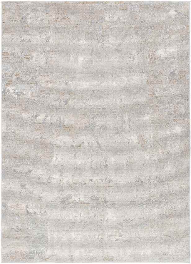 Raynette Modern Light Gray Area Rug
