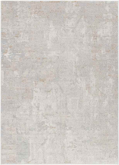 Raynette Modern Light Gray Area Rug