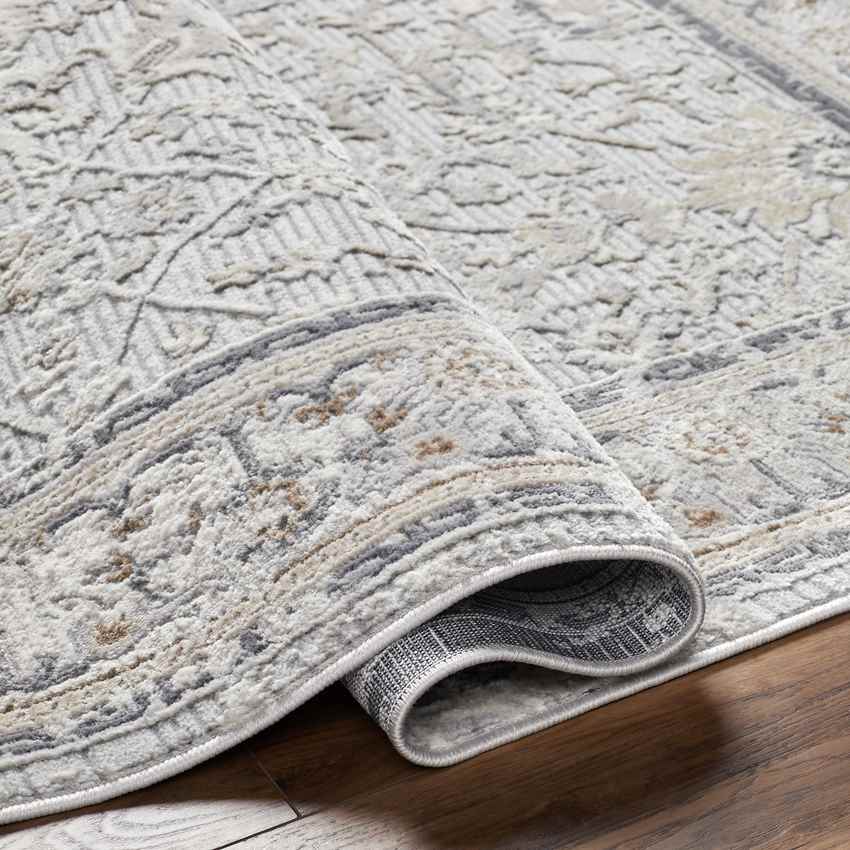 Raynette Modern Light Gray Area Rug