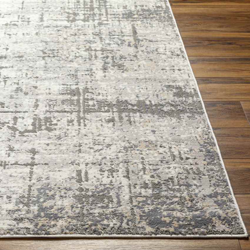 Nyla Modern Light Gray Area Rug