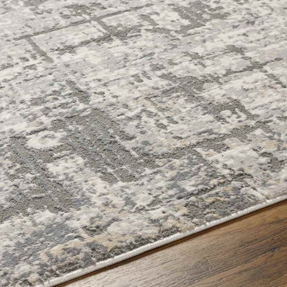 Nyla Modern Light Gray Area Rug